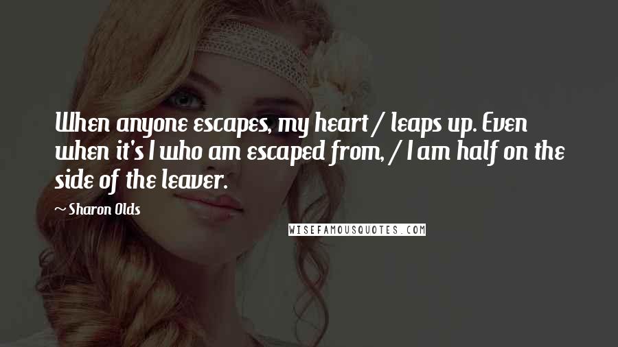 Sharon Olds Quotes: When anyone escapes, my heart / leaps up. Even when it's I who am escaped from, / I am half on the side of the leaver.