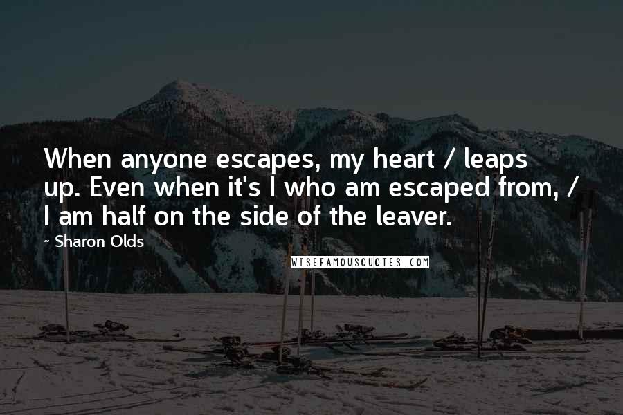 Sharon Olds Quotes: When anyone escapes, my heart / leaps up. Even when it's I who am escaped from, / I am half on the side of the leaver.