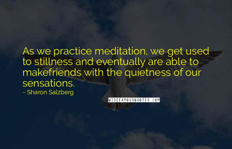 Sharon Salzberg Quotes: As we practice meditation, we get used to stillness and eventually are able to makefriends with the quietness of our sensations.