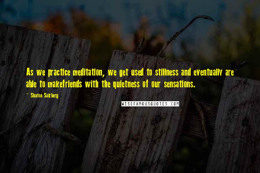 Sharon Salzberg Quotes: As we practice meditation, we get used to stillness and eventually are able to makefriends with the quietness of our sensations.