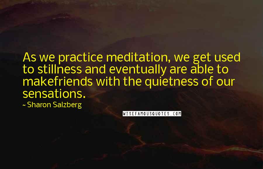 Sharon Salzberg Quotes: As we practice meditation, we get used to stillness and eventually are able to makefriends with the quietness of our sensations.