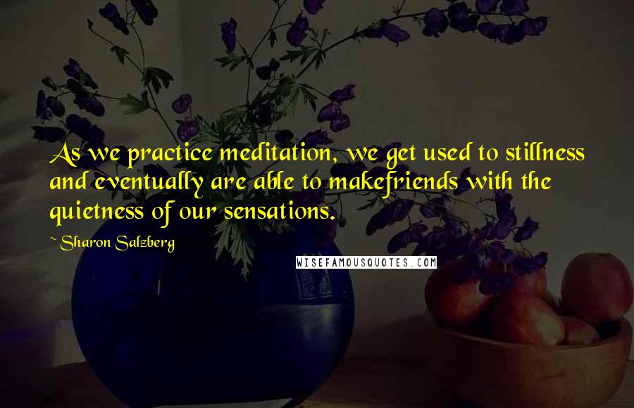 Sharon Salzberg Quotes: As we practice meditation, we get used to stillness and eventually are able to makefriends with the quietness of our sensations.