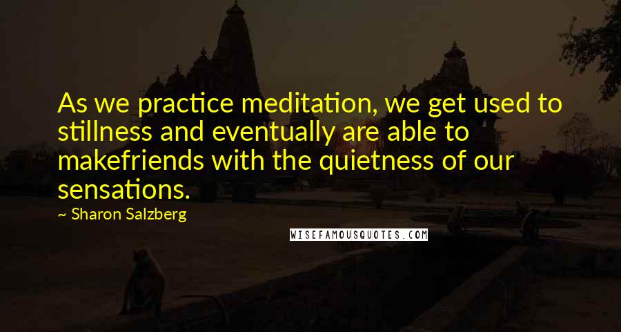 Sharon Salzberg Quotes: As we practice meditation, we get used to stillness and eventually are able to makefriends with the quietness of our sensations.