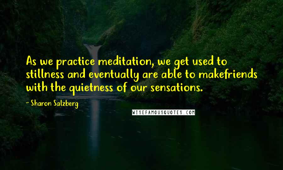 Sharon Salzberg Quotes: As we practice meditation, we get used to stillness and eventually are able to makefriends with the quietness of our sensations.