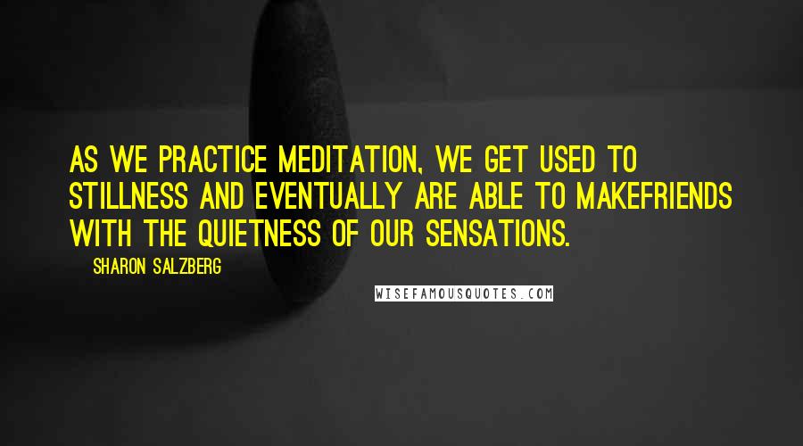 Sharon Salzberg Quotes: As we practice meditation, we get used to stillness and eventually are able to makefriends with the quietness of our sensations.