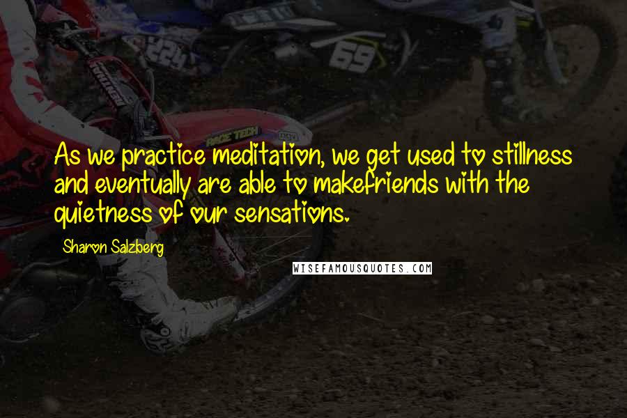 Sharon Salzberg Quotes: As we practice meditation, we get used to stillness and eventually are able to makefriends with the quietness of our sensations.