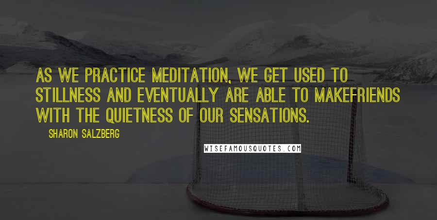 Sharon Salzberg Quotes: As we practice meditation, we get used to stillness and eventually are able to makefriends with the quietness of our sensations.