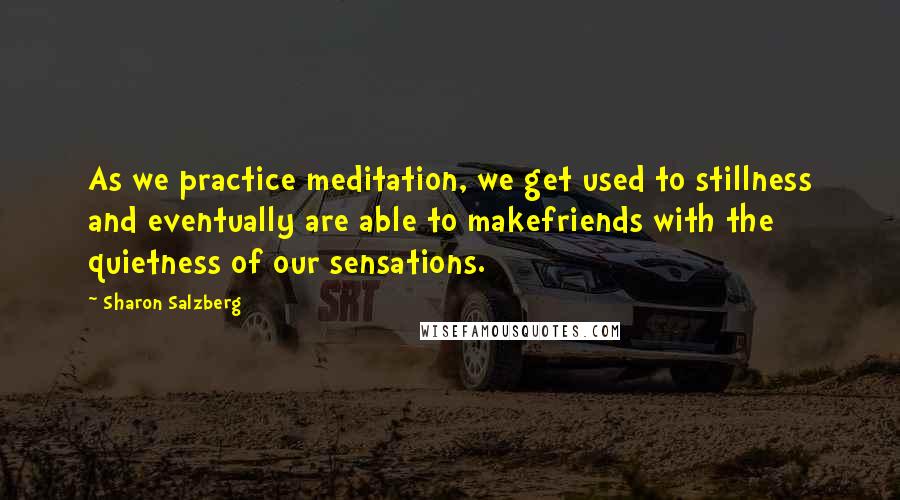 Sharon Salzberg Quotes: As we practice meditation, we get used to stillness and eventually are able to makefriends with the quietness of our sensations.