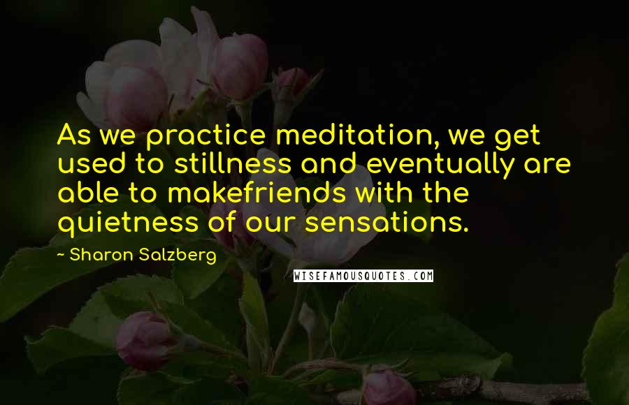 Sharon Salzberg Quotes: As we practice meditation, we get used to stillness and eventually are able to makefriends with the quietness of our sensations.