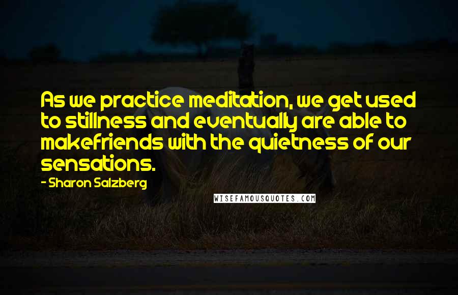 Sharon Salzberg Quotes: As we practice meditation, we get used to stillness and eventually are able to makefriends with the quietness of our sensations.