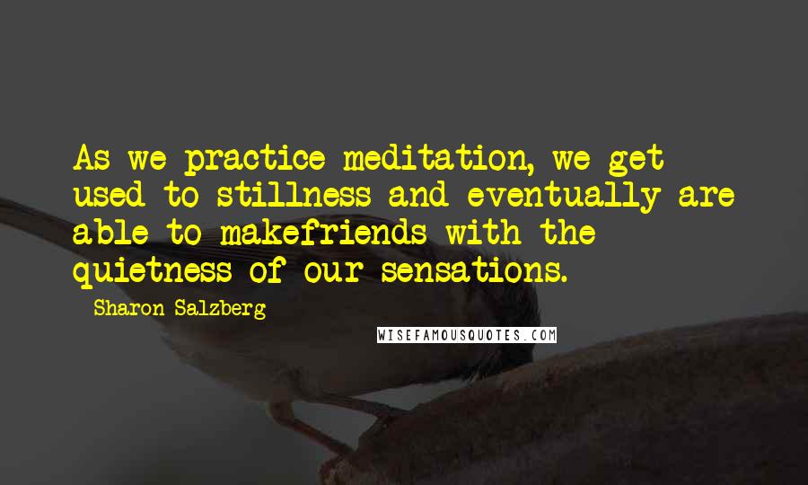 Sharon Salzberg Quotes: As we practice meditation, we get used to stillness and eventually are able to makefriends with the quietness of our sensations.