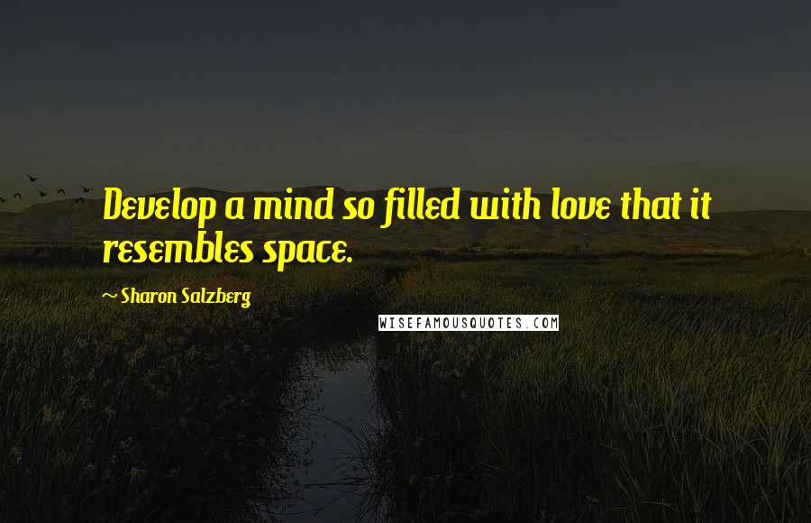 Sharon Salzberg Quotes: Develop a mind so filled with love that it resembles space.