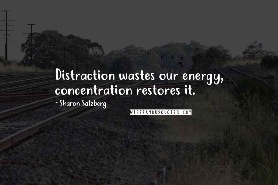 Sharon Salzberg Quotes: Distraction wastes our energy, concentration restores it.