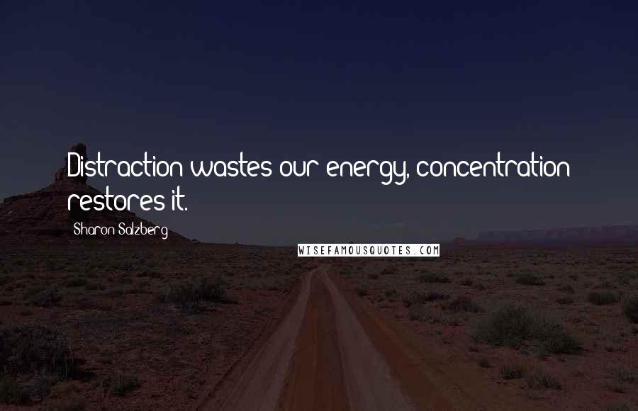 Sharon Salzberg Quotes: Distraction wastes our energy, concentration restores it.