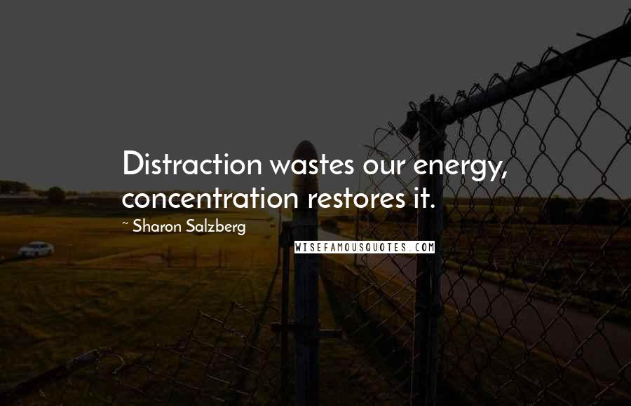 Sharon Salzberg Quotes: Distraction wastes our energy, concentration restores it.