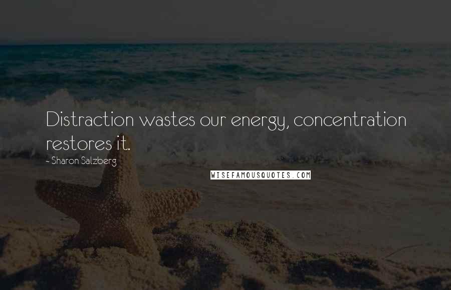 Sharon Salzberg Quotes: Distraction wastes our energy, concentration restores it.