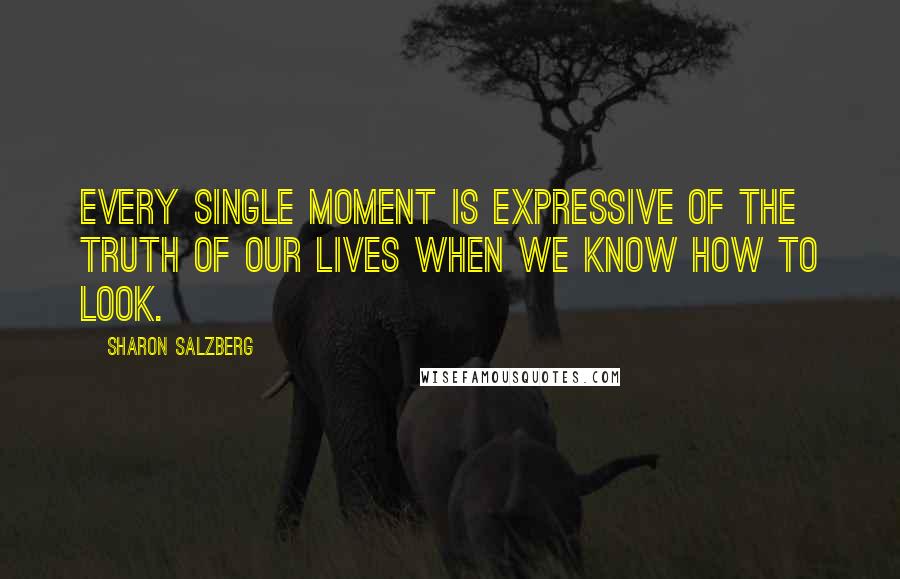 Sharon Salzberg Quotes: Every single moment is expressive of the truth of our lives when we know how to look.