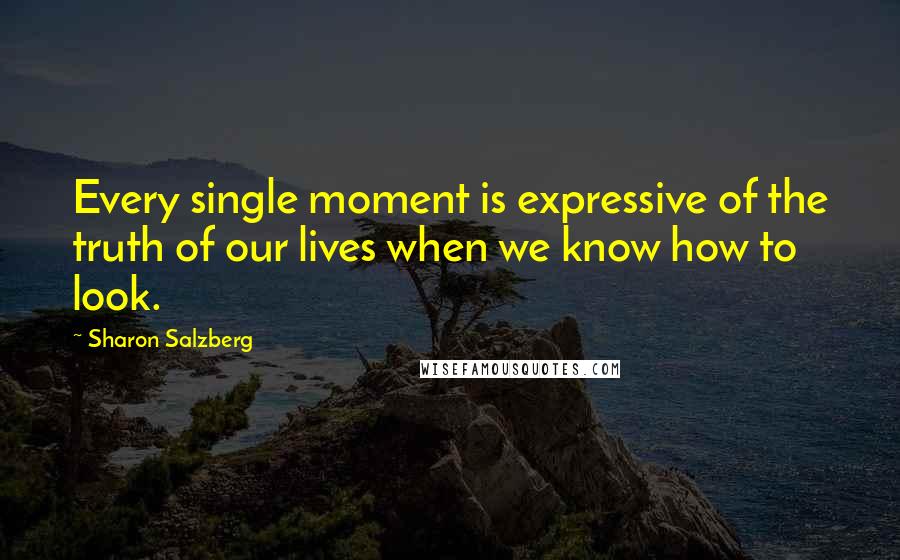 Sharon Salzberg Quotes: Every single moment is expressive of the truth of our lives when we know how to look.