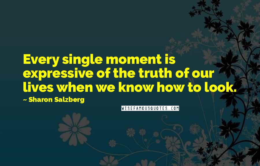 Sharon Salzberg Quotes: Every single moment is expressive of the truth of our lives when we know how to look.