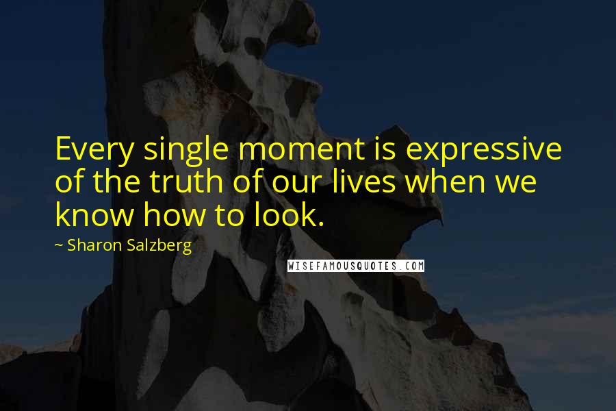 Sharon Salzberg Quotes: Every single moment is expressive of the truth of our lives when we know how to look.