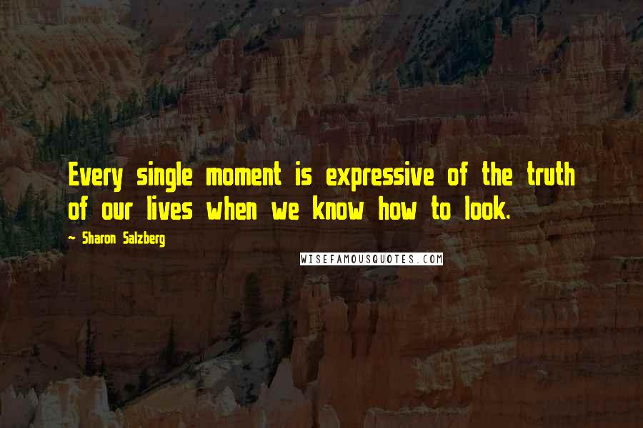 Sharon Salzberg Quotes: Every single moment is expressive of the truth of our lives when we know how to look.