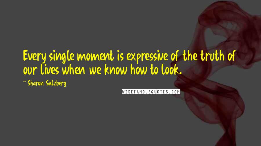 Sharon Salzberg Quotes: Every single moment is expressive of the truth of our lives when we know how to look.