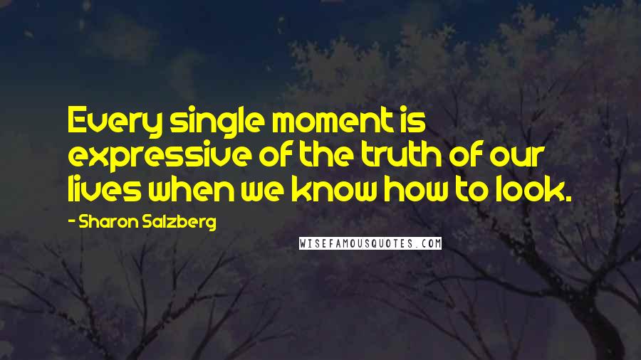 Sharon Salzberg Quotes: Every single moment is expressive of the truth of our lives when we know how to look.