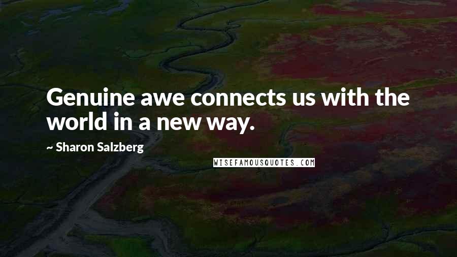 Sharon Salzberg Quotes: Genuine awe connects us with the world in a new way.