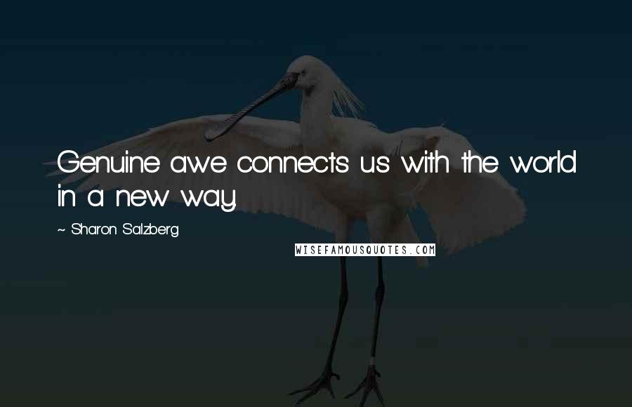 Sharon Salzberg Quotes: Genuine awe connects us with the world in a new way.