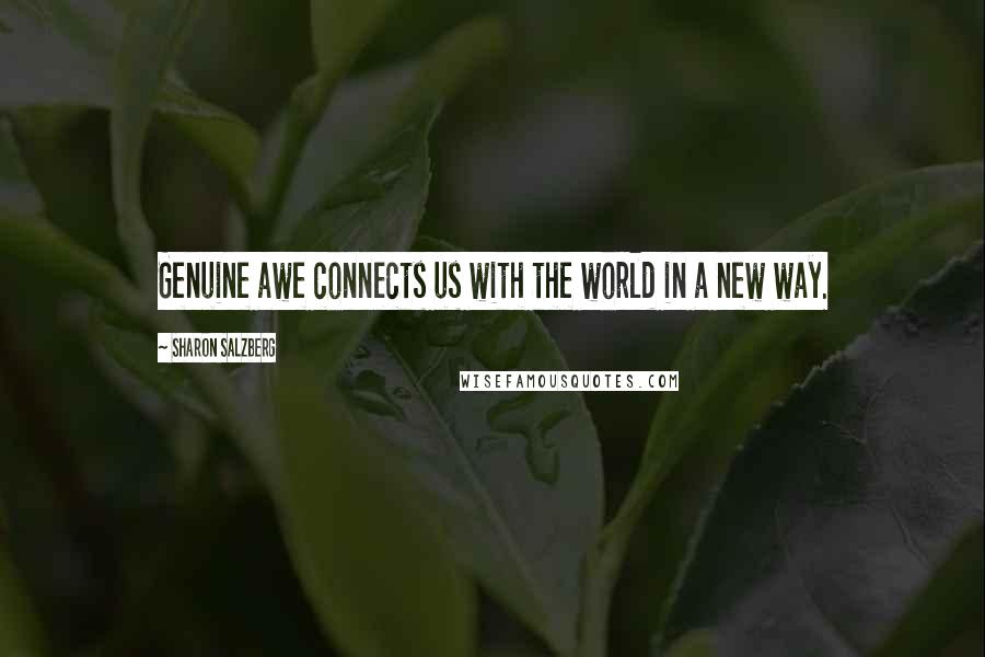 Sharon Salzberg Quotes: Genuine awe connects us with the world in a new way.