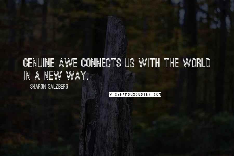 Sharon Salzberg Quotes: Genuine awe connects us with the world in a new way.