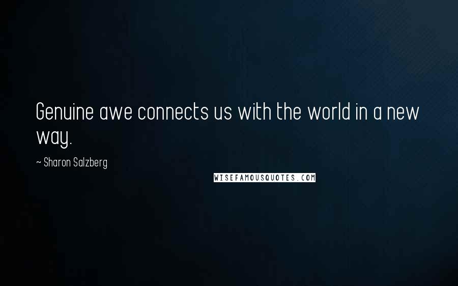 Sharon Salzberg Quotes: Genuine awe connects us with the world in a new way.