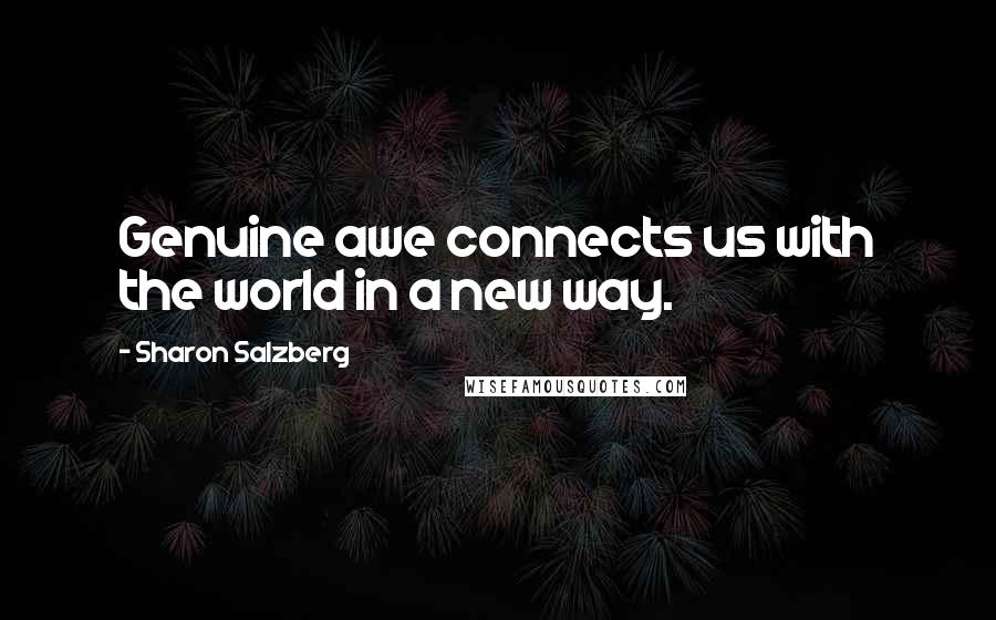 Sharon Salzberg Quotes: Genuine awe connects us with the world in a new way.