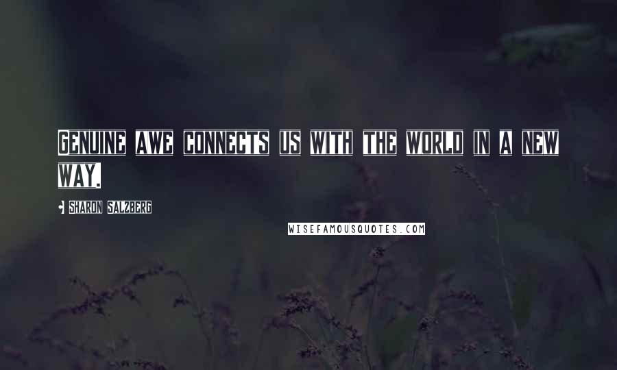 Sharon Salzberg Quotes: Genuine awe connects us with the world in a new way.