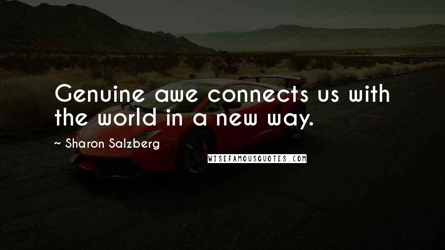 Sharon Salzberg Quotes: Genuine awe connects us with the world in a new way.