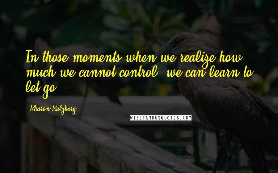 Sharon Salzberg Quotes: In those moments when we realize how much we cannot control, we can learn to let go.