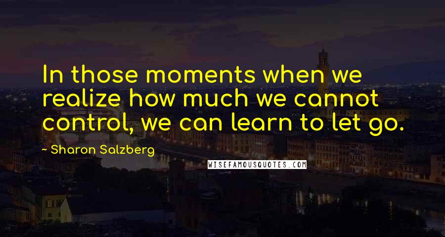 Sharon Salzberg Quotes: In those moments when we realize how much we cannot control, we can learn to let go.