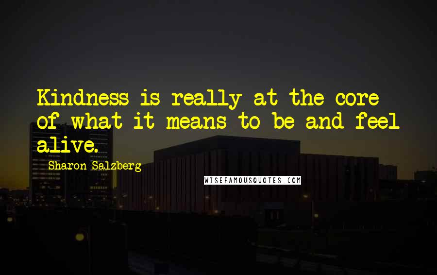 Sharon Salzberg Quotes: Kindness is really at the core of what it means to be and feel alive.