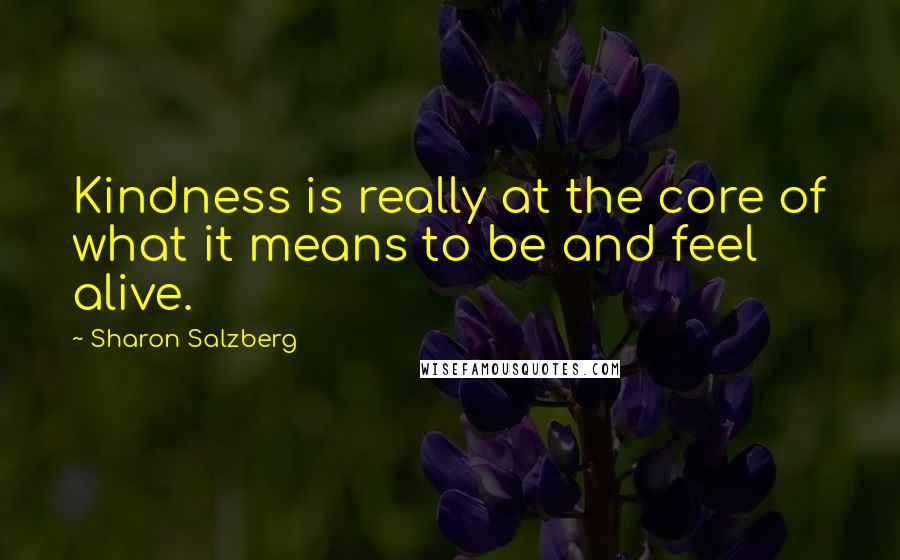 Sharon Salzberg Quotes: Kindness is really at the core of what it means to be and feel alive.