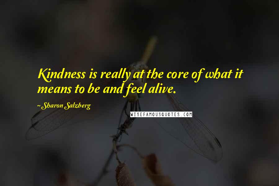 Sharon Salzberg Quotes: Kindness is really at the core of what it means to be and feel alive.