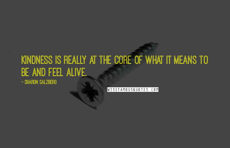 Sharon Salzberg Quotes: Kindness is really at the core of what it means to be and feel alive.