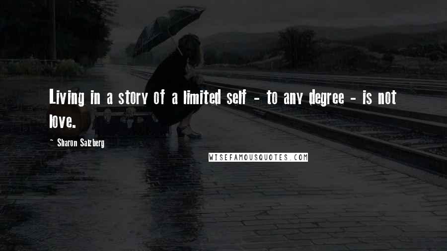Sharon Salzberg Quotes: Living in a story of a limited self - to any degree - is not love.
