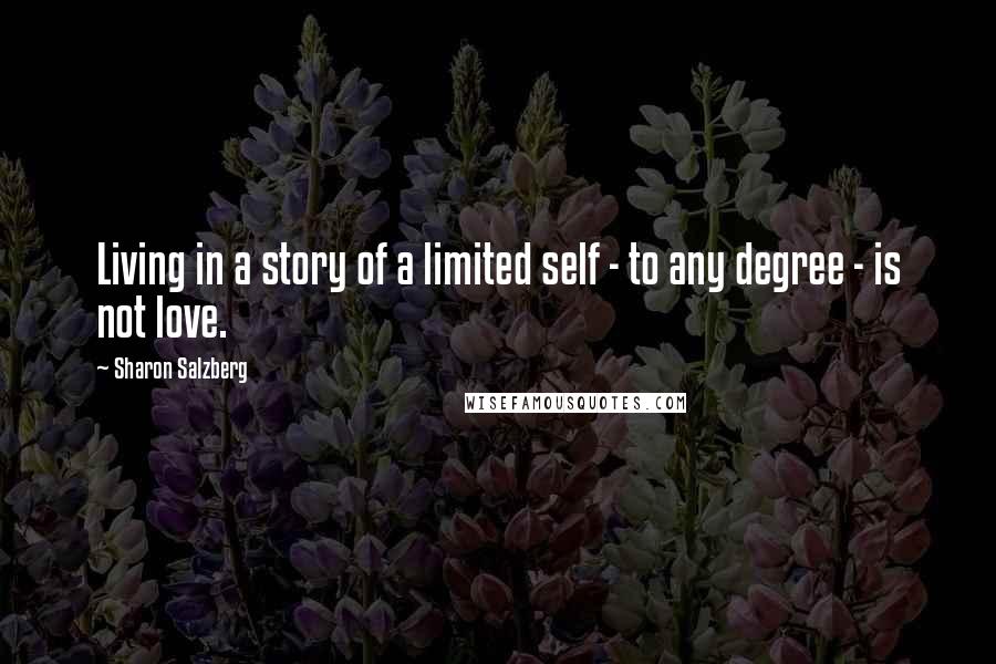 Sharon Salzberg Quotes: Living in a story of a limited self - to any degree - is not love.