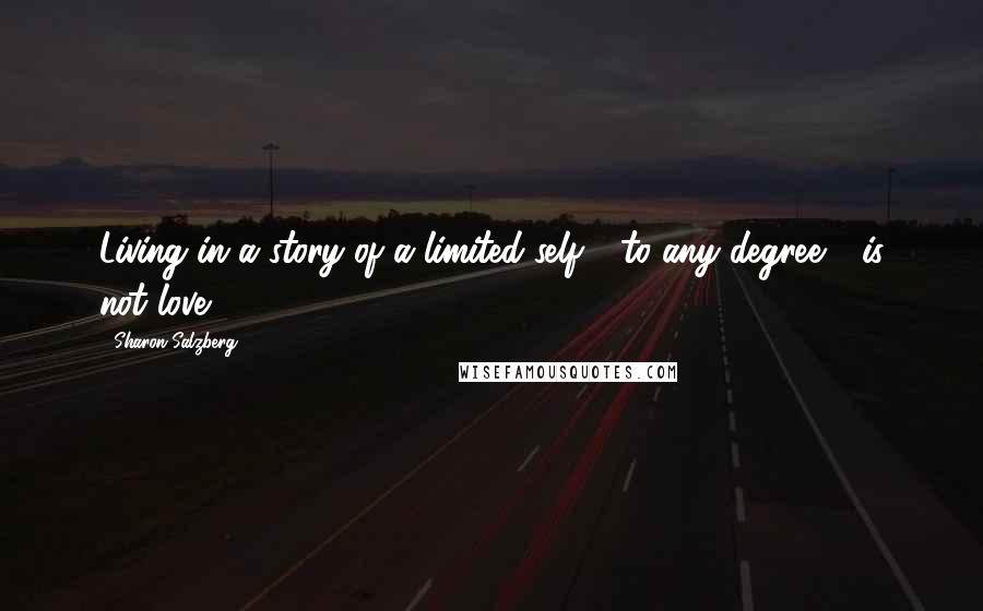 Sharon Salzberg Quotes: Living in a story of a limited self - to any degree - is not love.