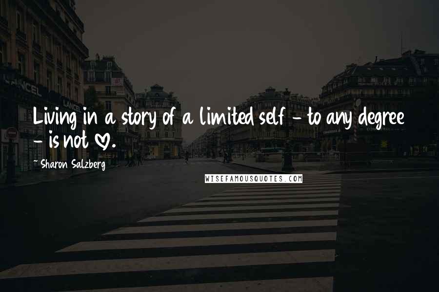 Sharon Salzberg Quotes: Living in a story of a limited self - to any degree - is not love.