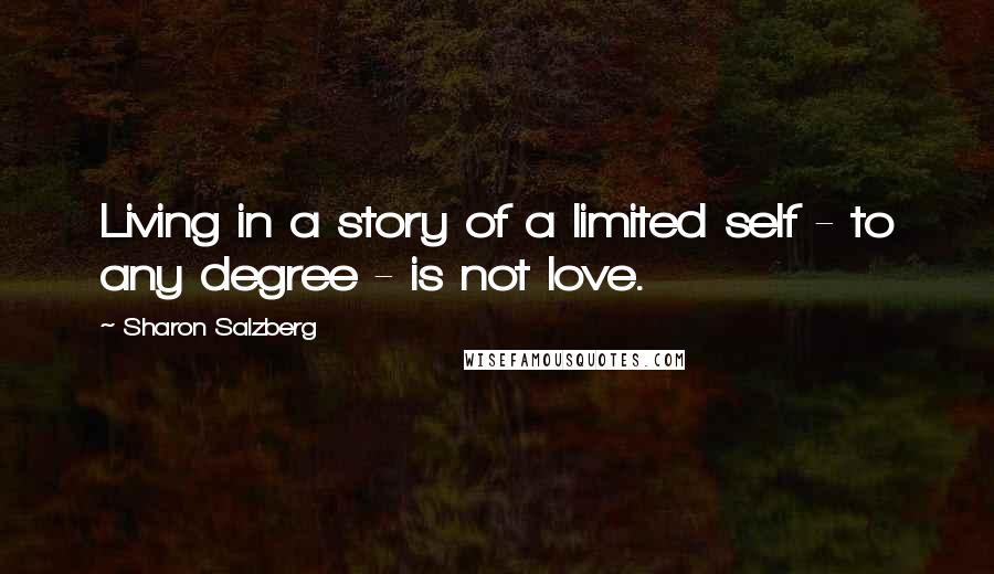Sharon Salzberg Quotes: Living in a story of a limited self - to any degree - is not love.
