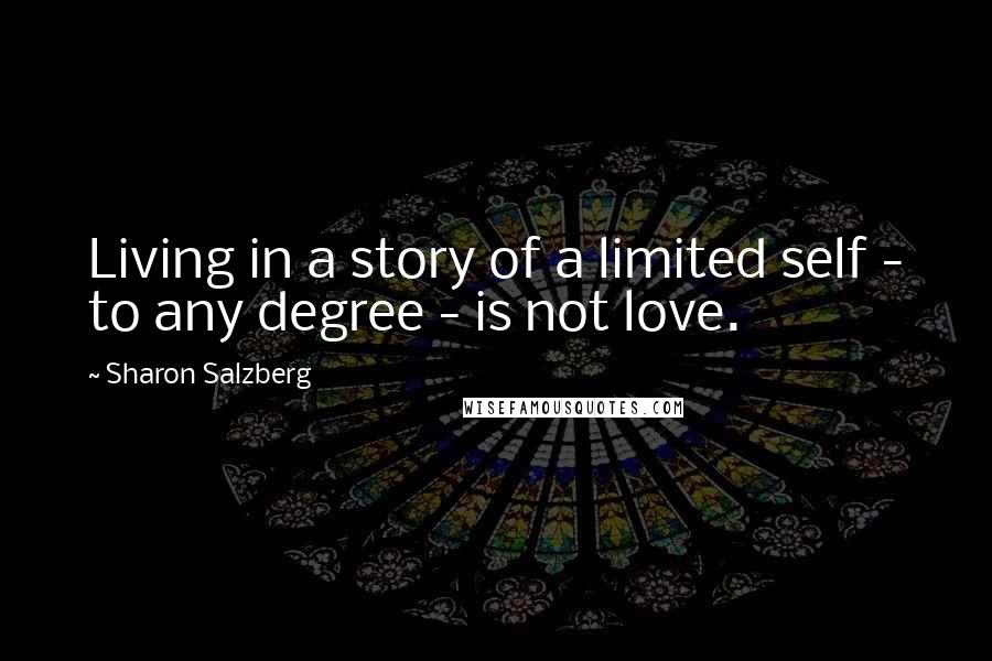 Sharon Salzberg Quotes: Living in a story of a limited self - to any degree - is not love.