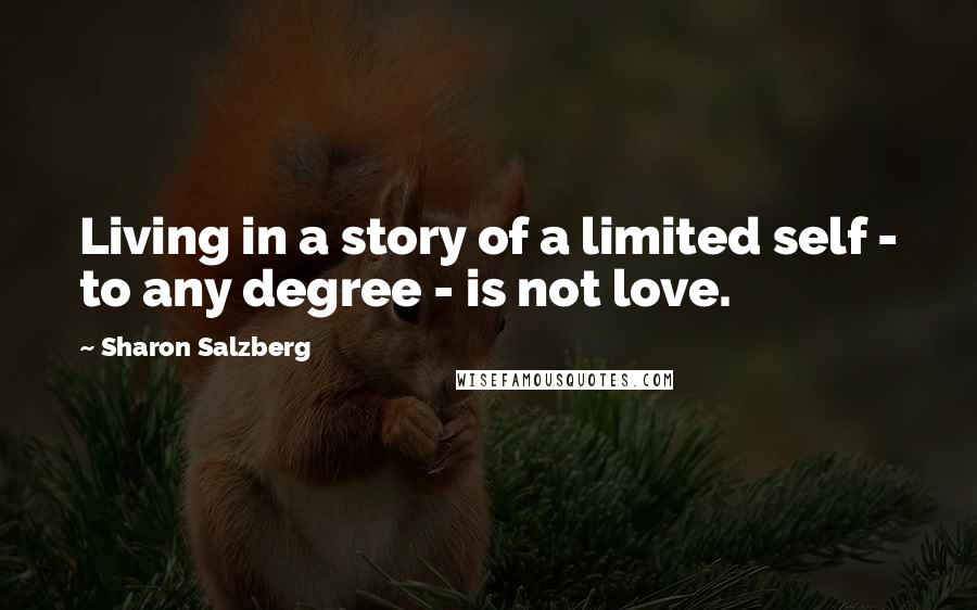 Sharon Salzberg Quotes: Living in a story of a limited self - to any degree - is not love.