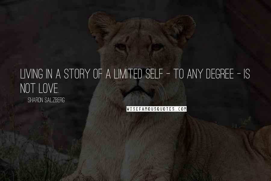 Sharon Salzberg Quotes: Living in a story of a limited self - to any degree - is not love.