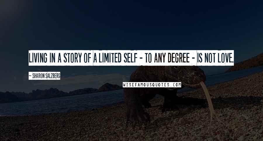 Sharon Salzberg Quotes: Living in a story of a limited self - to any degree - is not love.